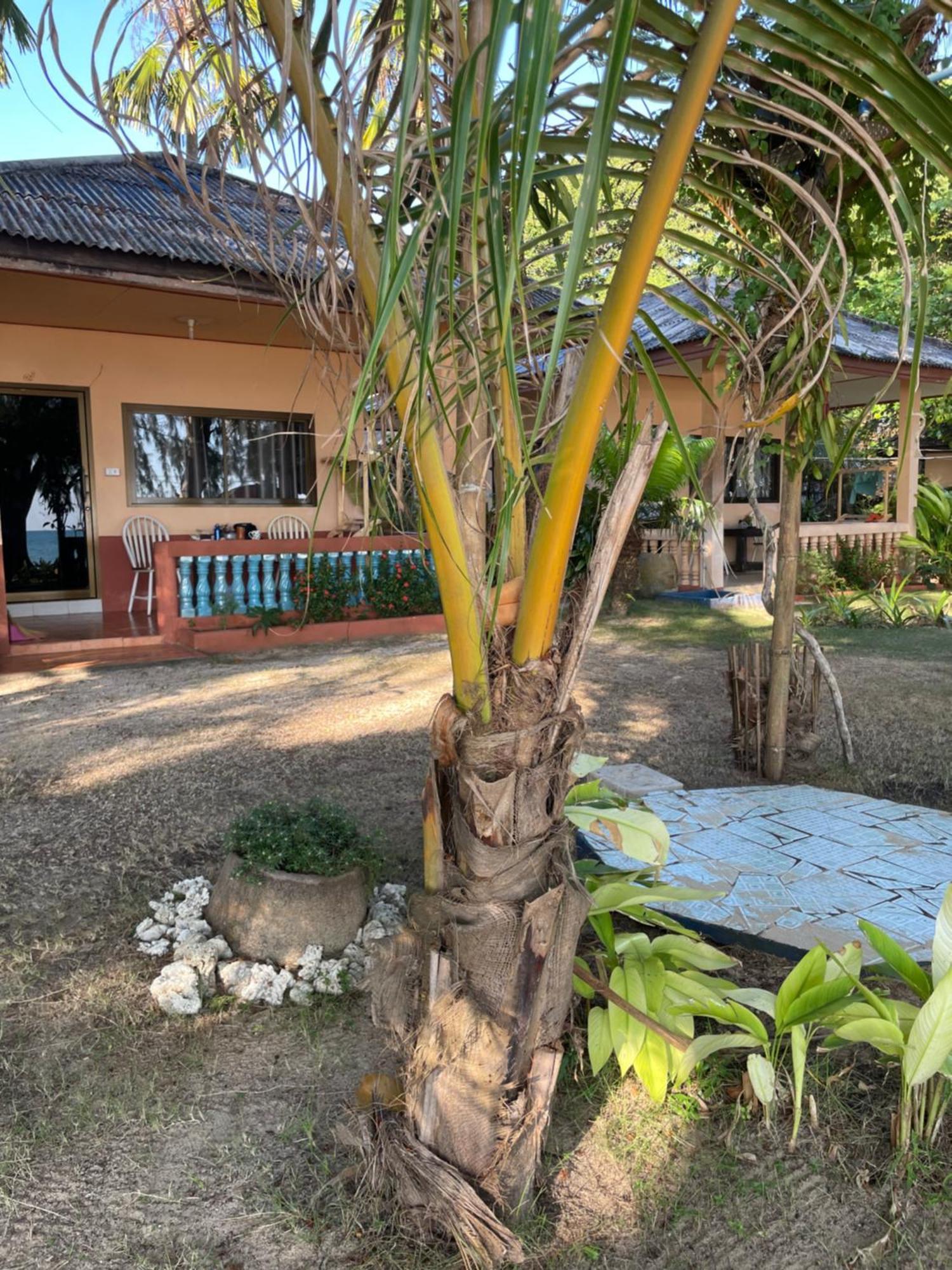 Baanyaiguesthouse マーク島 エクステリア 写真