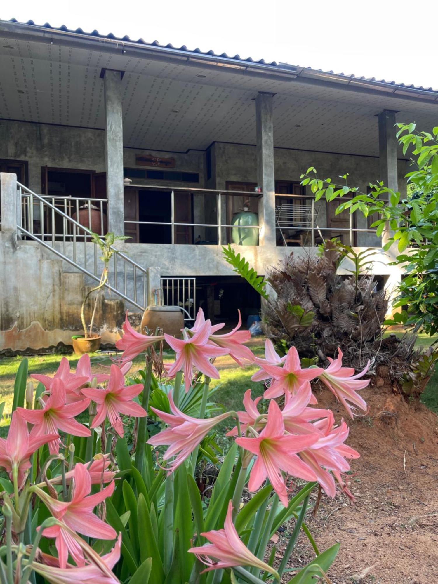 Baanyaiguesthouse マーク島 エクステリア 写真